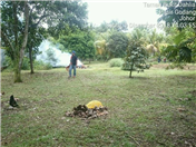 Orphanage Pasir Gudang